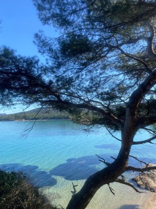 Ile De Porquerolles : T3 Climatise Vue Mer Exterior photo