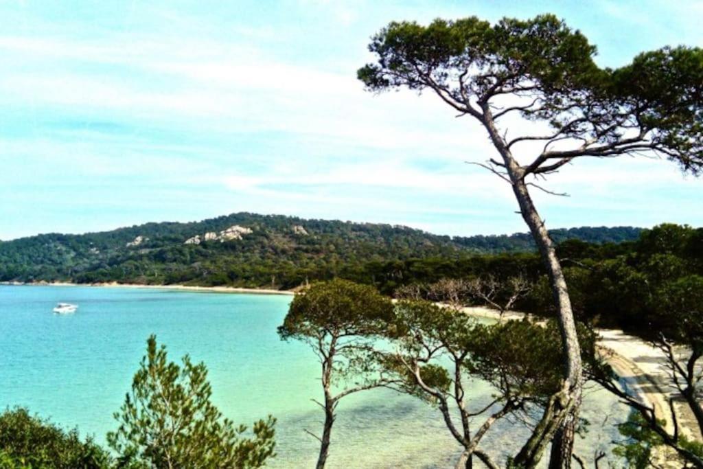 Ile De Porquerolles : T3 Climatise Vue Mer Exterior photo